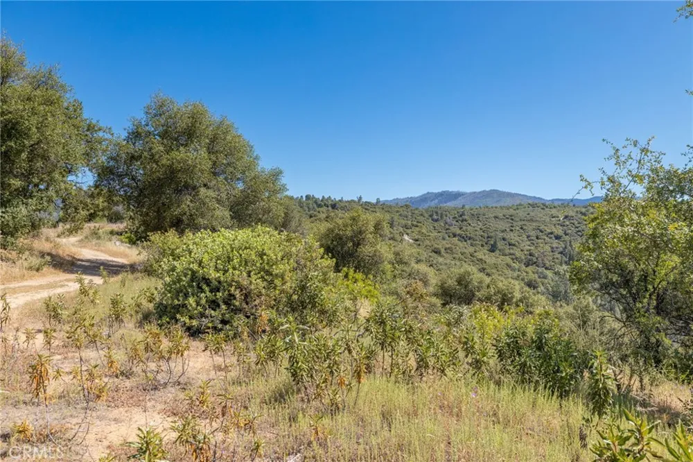 49 Old Yosemite Road Oakhurst, CA 93644