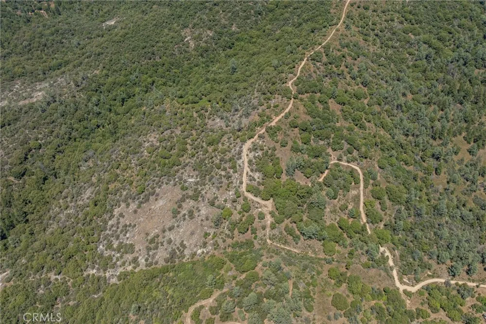 49 Old Yosemite Road Oakhurst, CA 93644