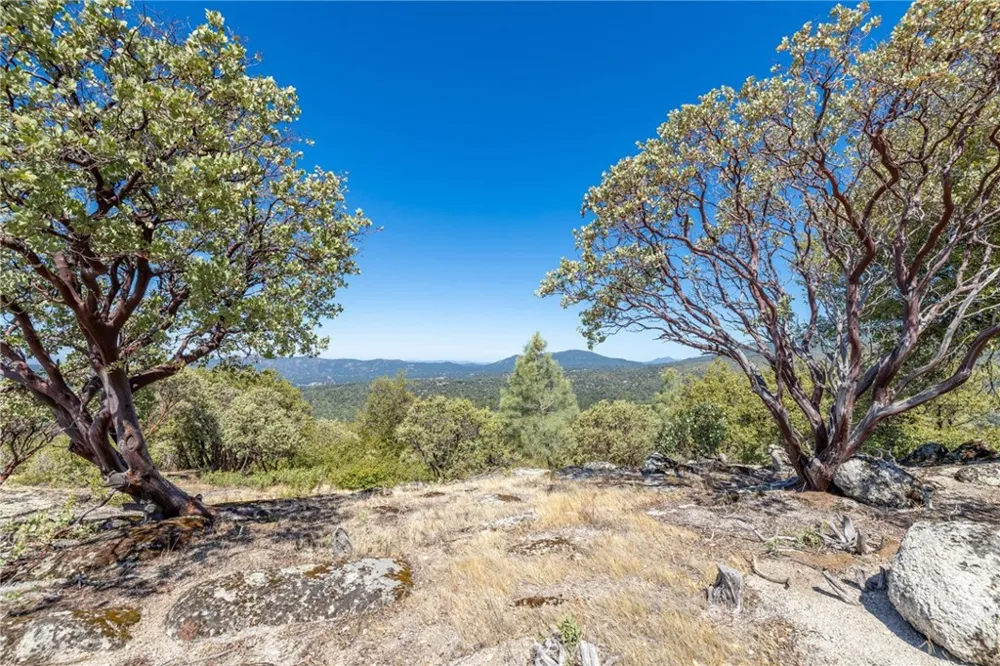 49 Old Yosemite Road Oakhurst, CA 93644