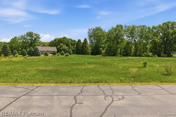 Iosco Mountain Road E Iosco Township, MI 48137