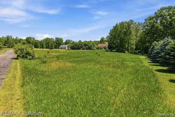 Iosco Mountain Road E Iosco Township, MI 48137