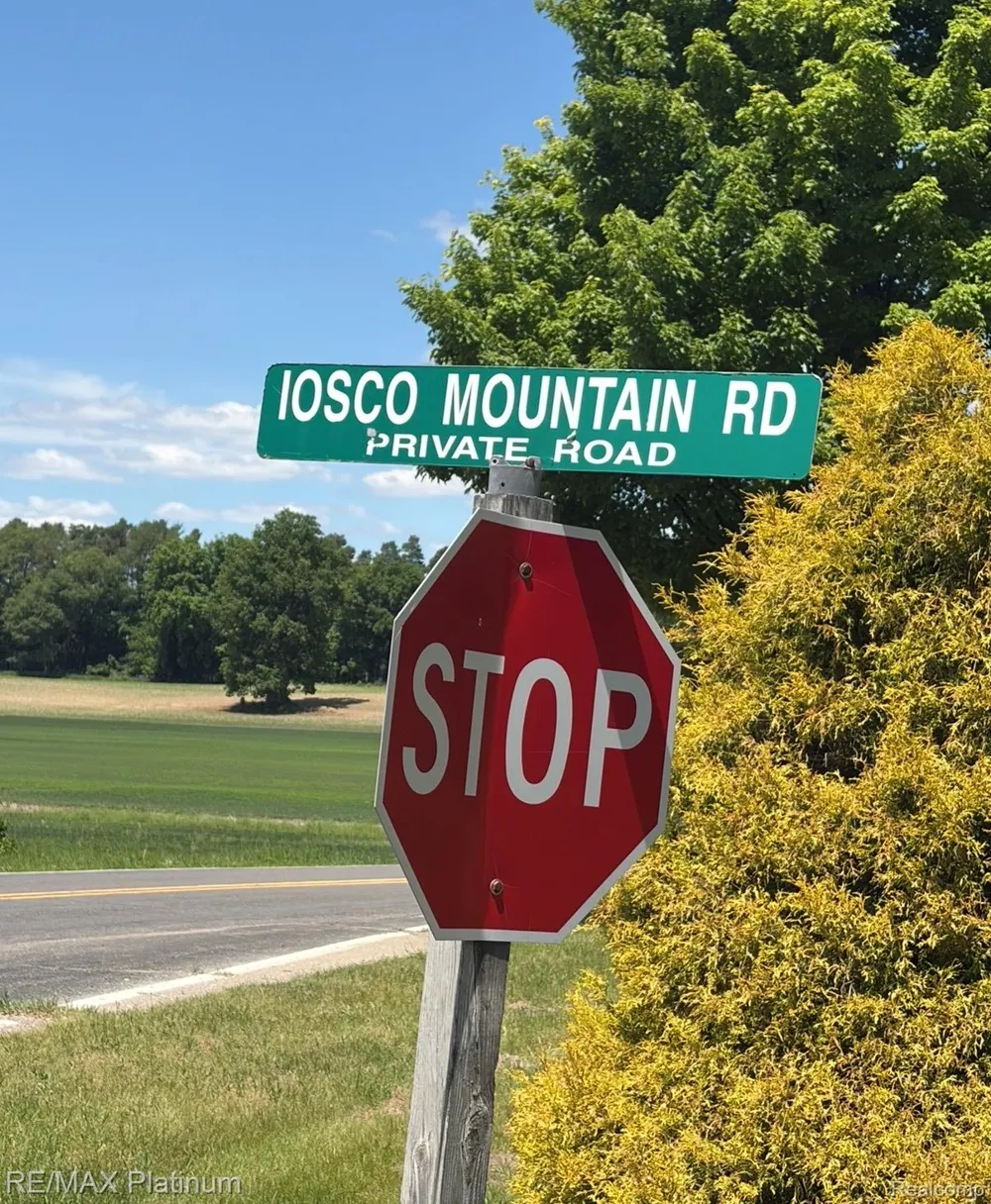 Iosco Mountain Road E Iosco Township, MI 48137