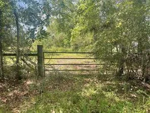 254 County Road 312              Cr 312