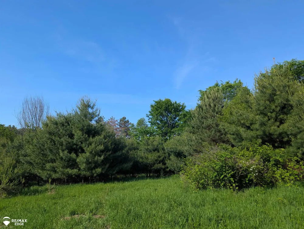 6283 Hart Lake Road Otter Lake Village, MI 48464