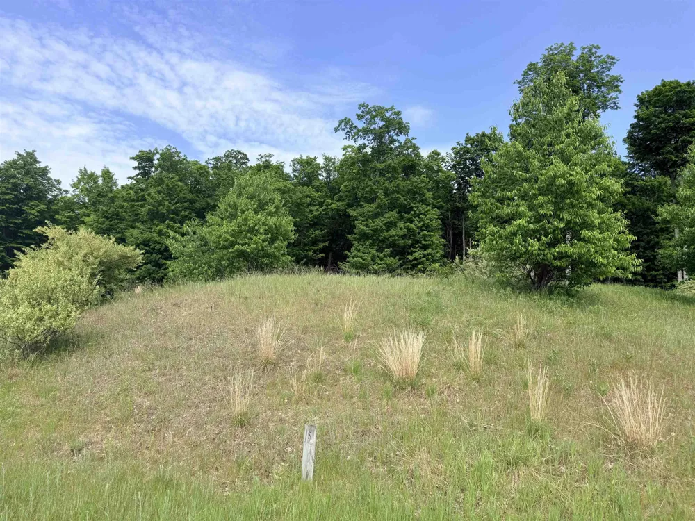 W Sleepy Valley Drive Empire Township, MI 49630