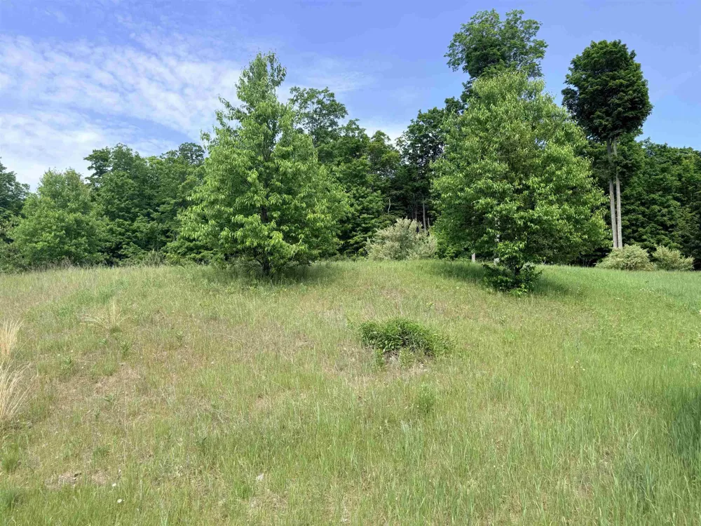 W Sleepy Valley Drive Empire Township, MI 49630