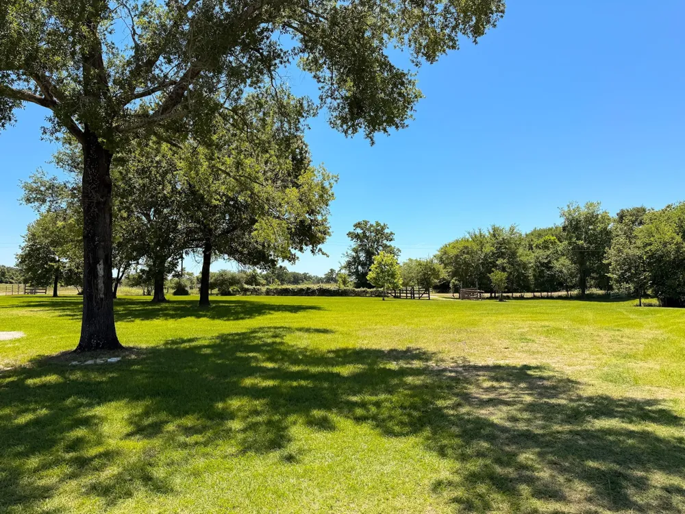 2256 Lcr 882 Jewett, TX 75846
