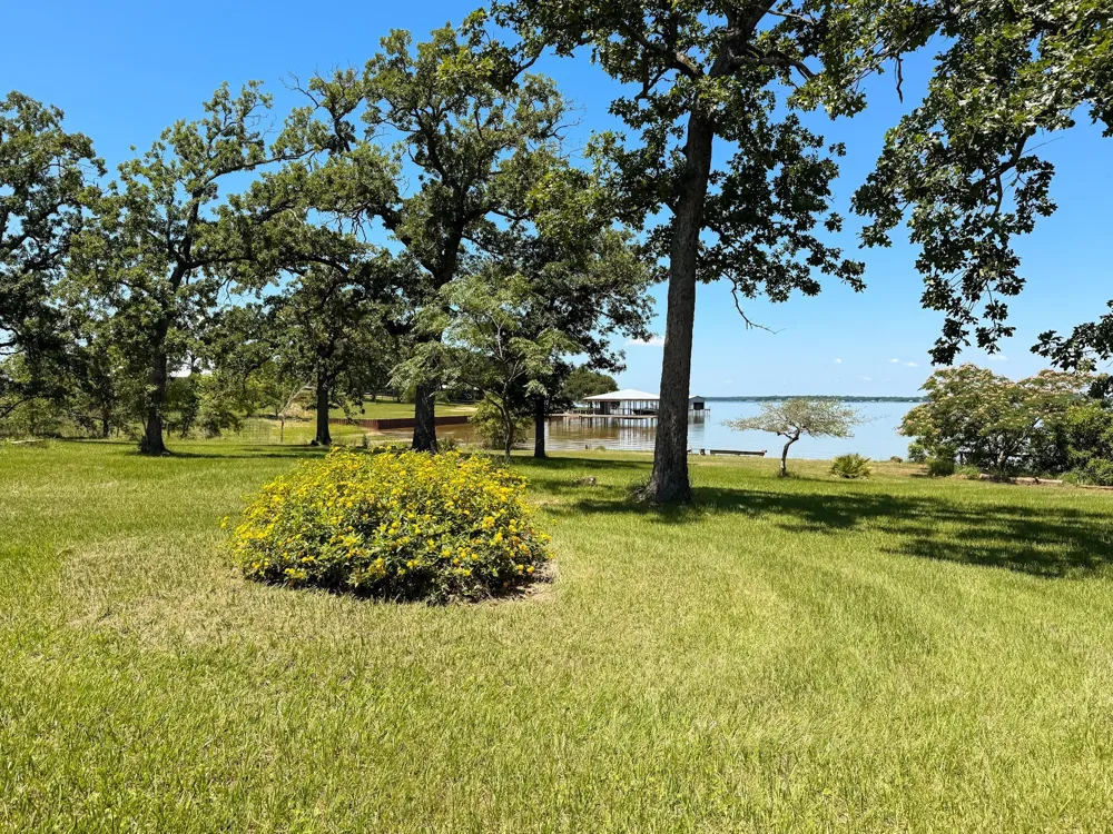 2256 Lcr 882 Jewett, TX 75846