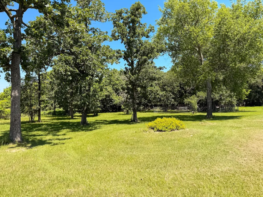 2256 Lcr 882 Jewett, TX 75846