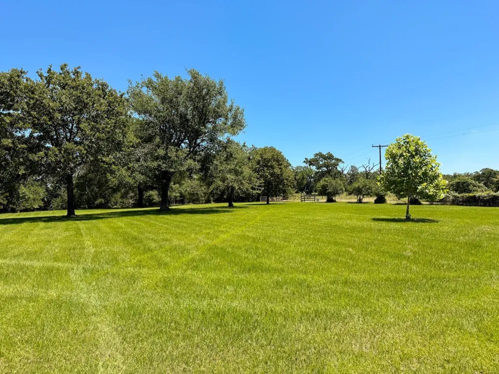 2256 Lcr 882 Jewett, TX 75846