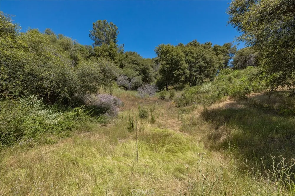 99 Old Yosemite Road Oakhurst, CA 93644