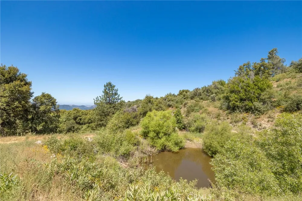 99 Old Yosemite Road Oakhurst, CA 93644
