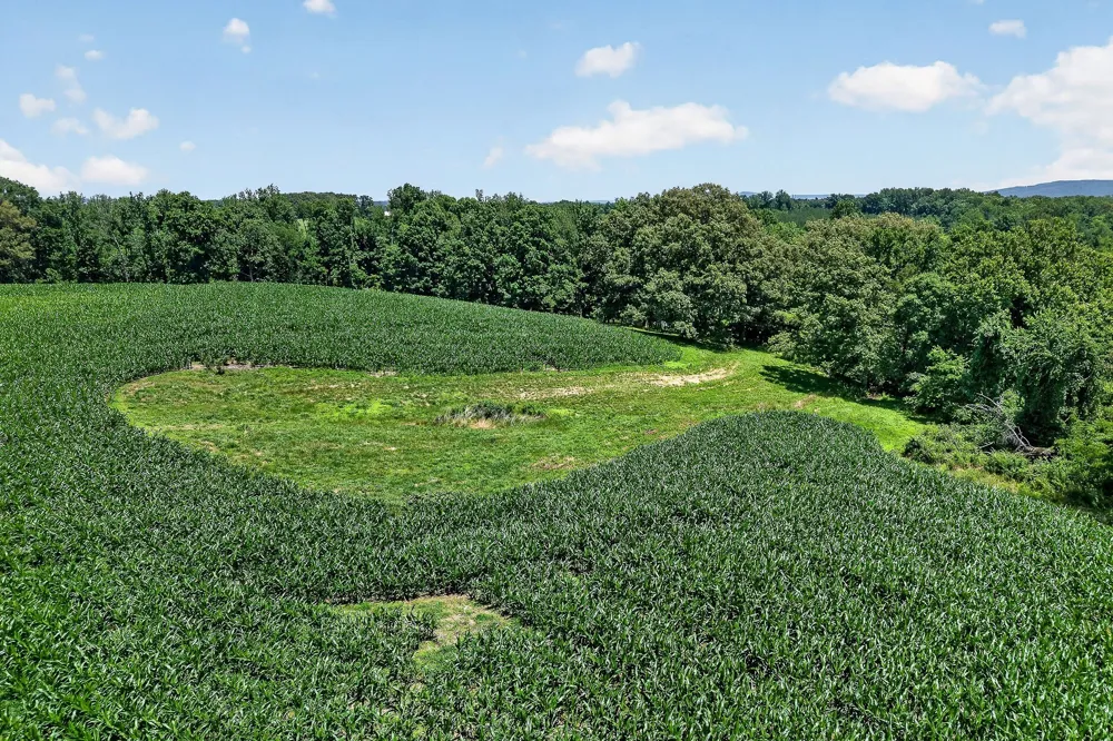 2531 Old Well Rd Morrison, TN 37357