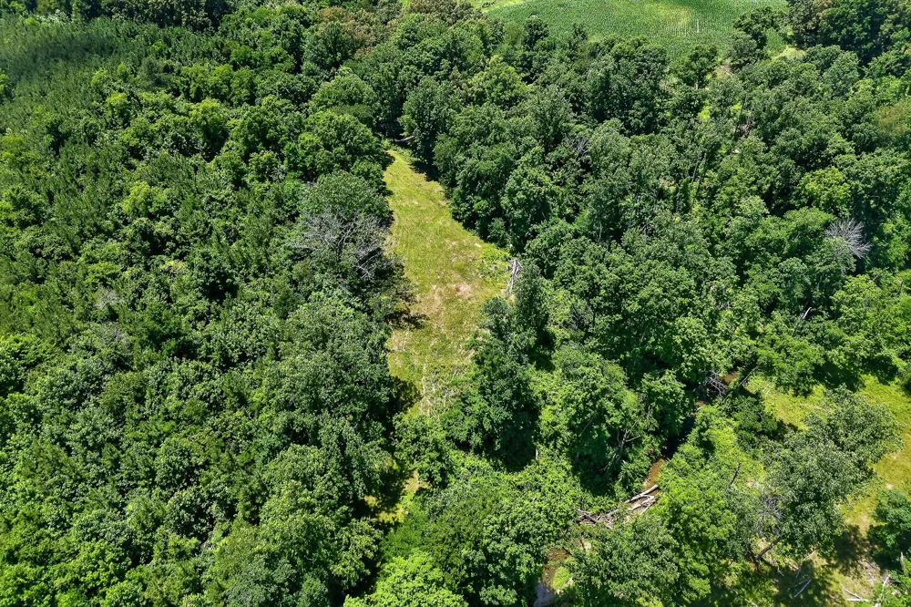 2531 Old Well Rd Morrison, TN 37357