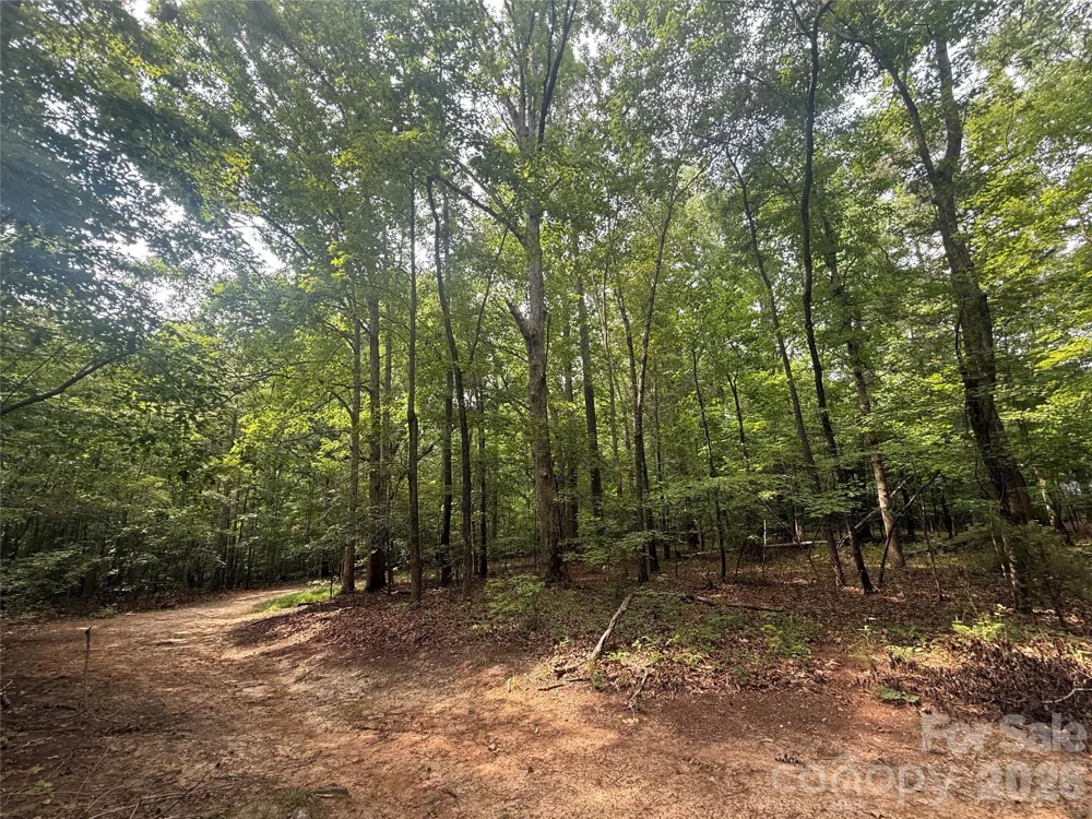 0 S Lineberry Street Troy, NC 27371