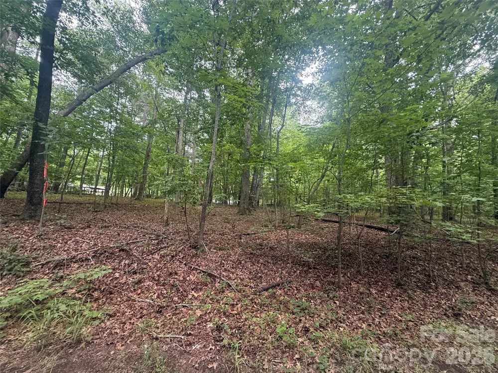 0 S Lineberry Street Troy, NC 27371