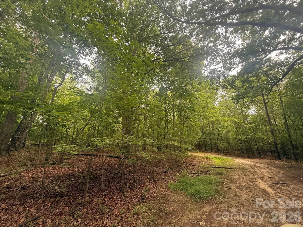 0 S Lineberry Street Troy, NC 27371