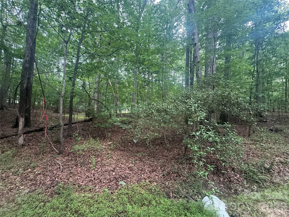 00 S Lineberry Street Troy, NC 27371