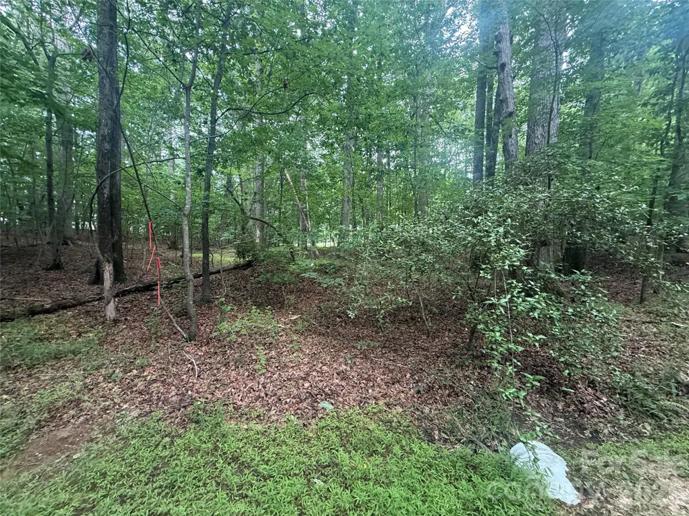 00 S Lineberry Street Troy, NC 27371