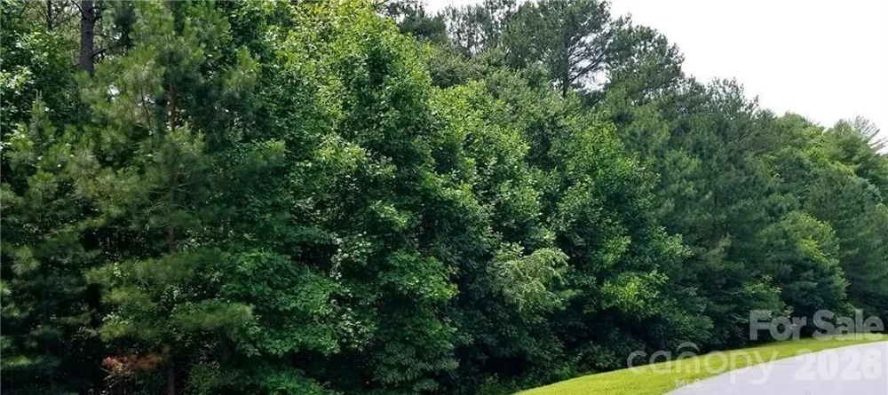 210 Harbor Ridge Drive Connelly Springs, NC 28612