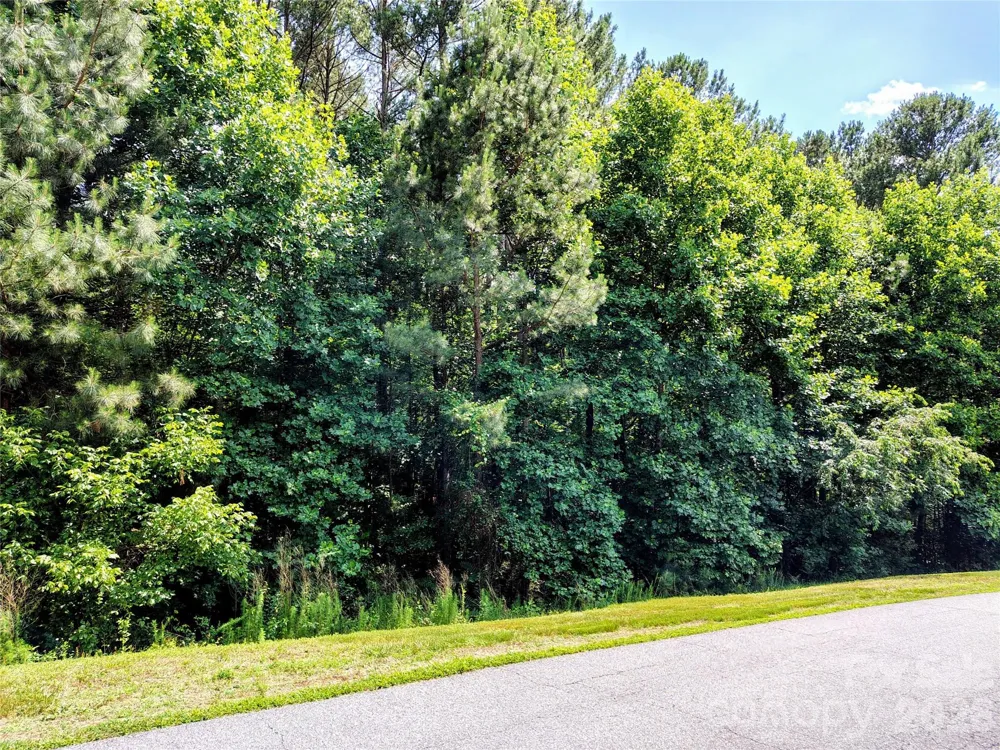 210 Harbor Ridge Drive Connelly Springs, NC 28612