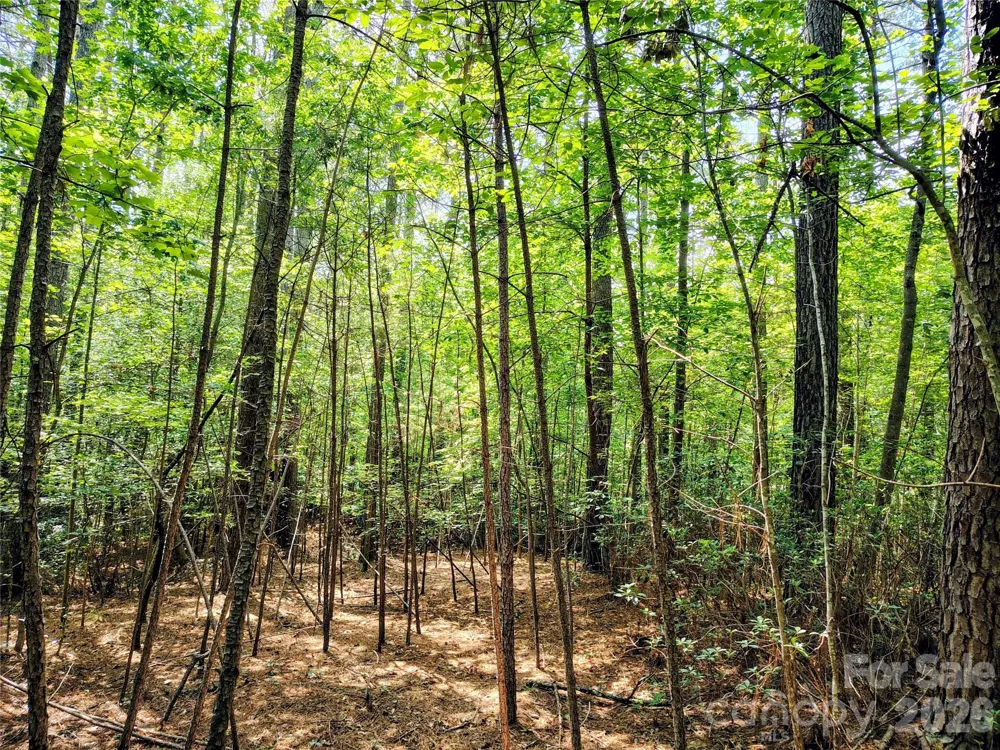 210 Harbor Ridge Drive Connelly Springs, NC 28612