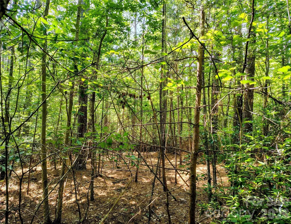 210 Harbor Ridge Drive Connelly Springs, NC 28612