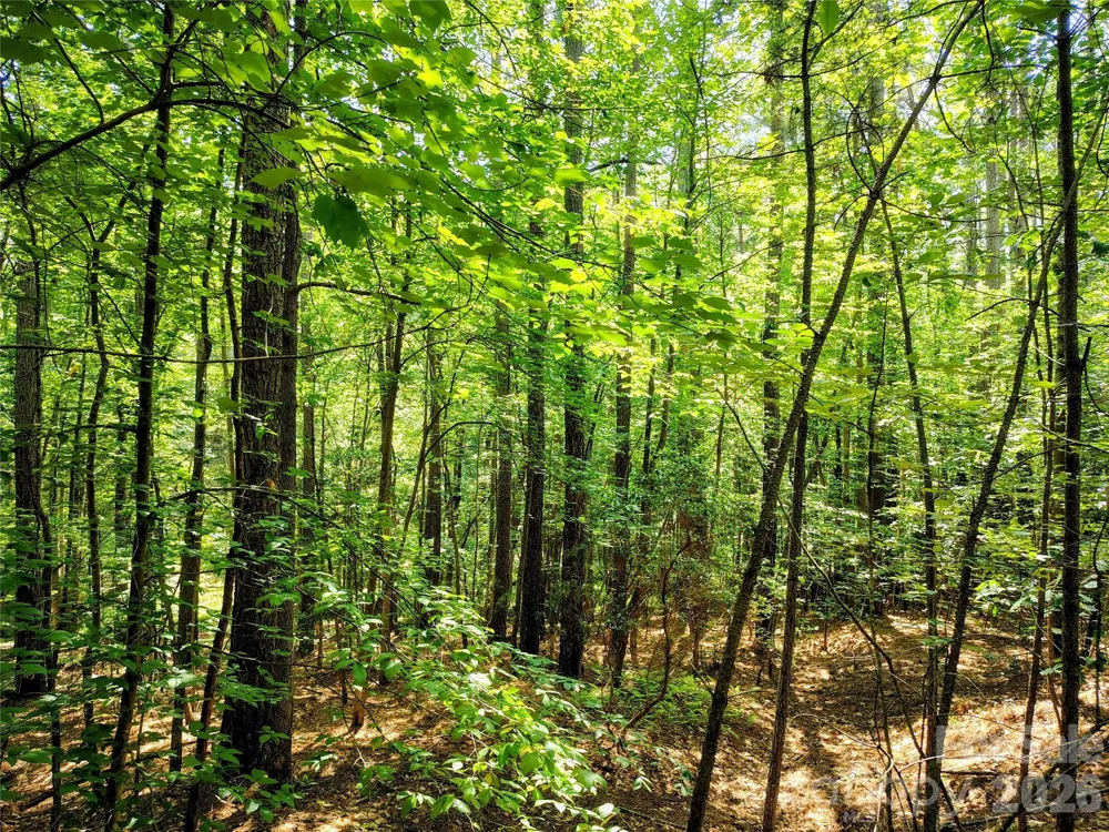 210 Harbor Ridge Drive Connelly Springs, NC 28612