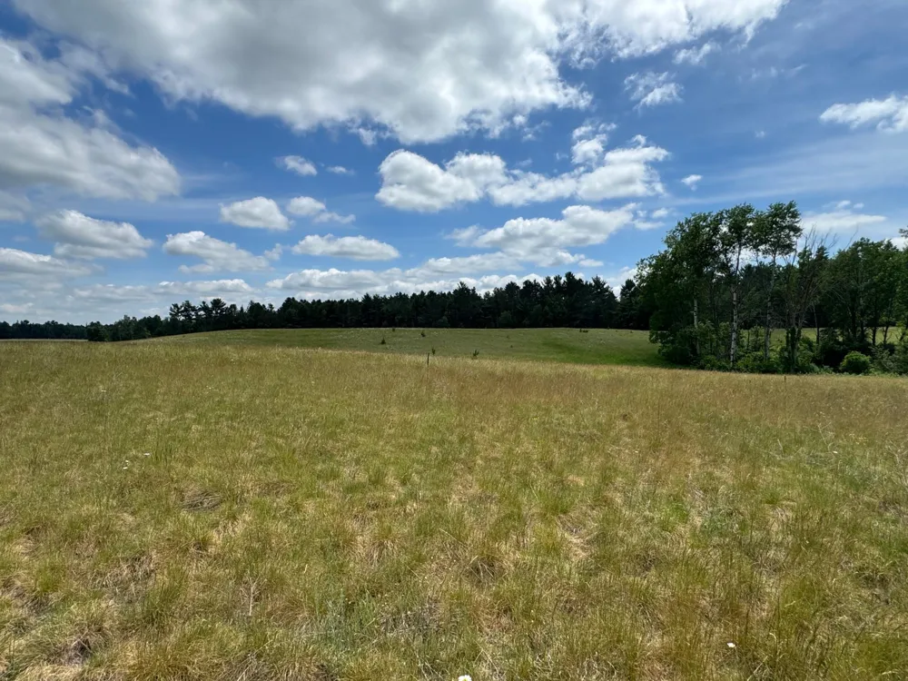 N 6398 Fred Tripp Road Springbrook, WI 54875