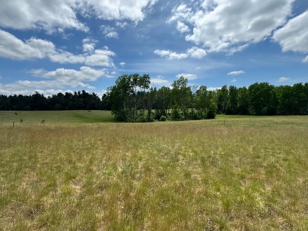 N 6398 Fred Tripp Road Springbrook, WI 54875