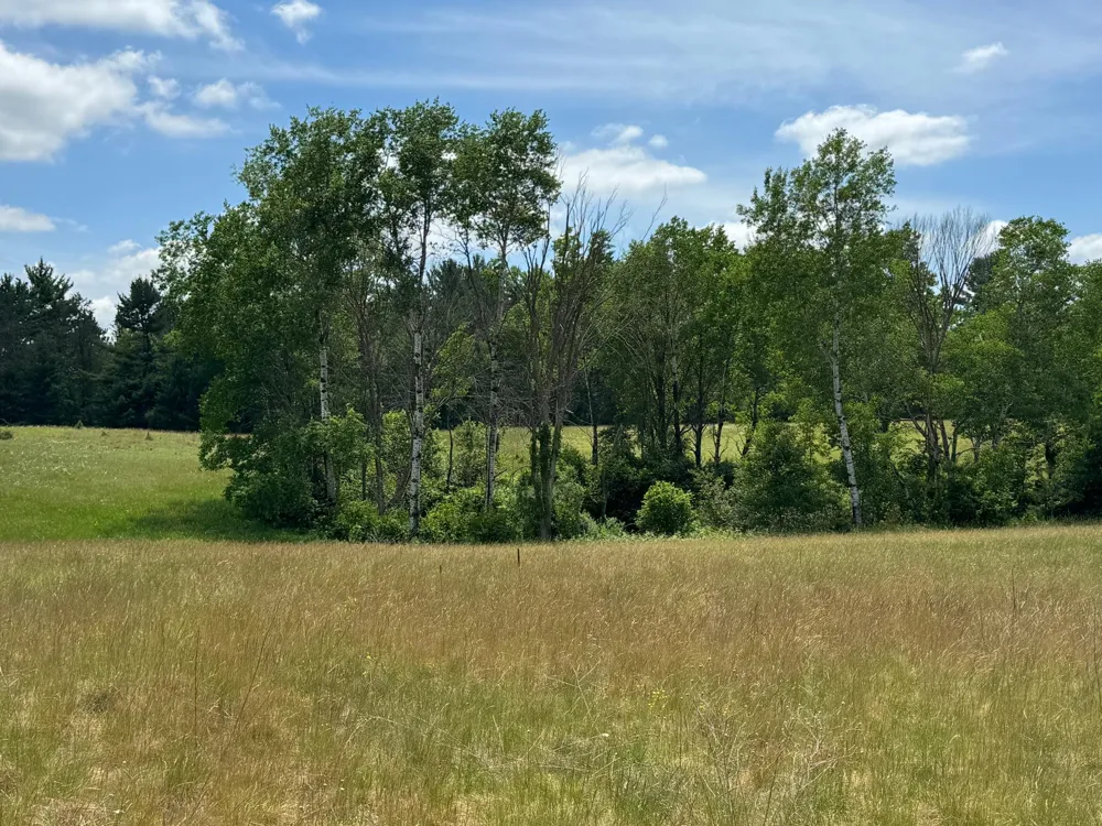 N 6398 Fred Tripp Road Springbrook, WI 54875