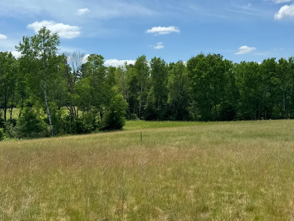 N 6398 Fred Tripp Road Springbrook, WI 54875