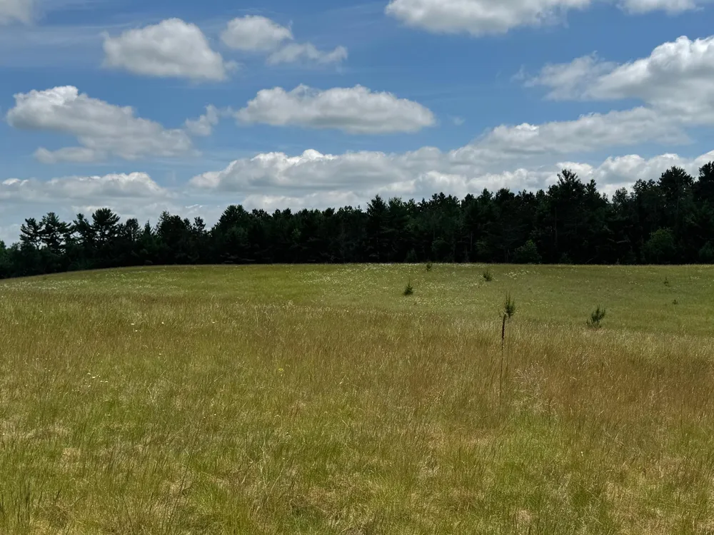 N 6398 Fred Tripp Road Springbrook, WI 54875
