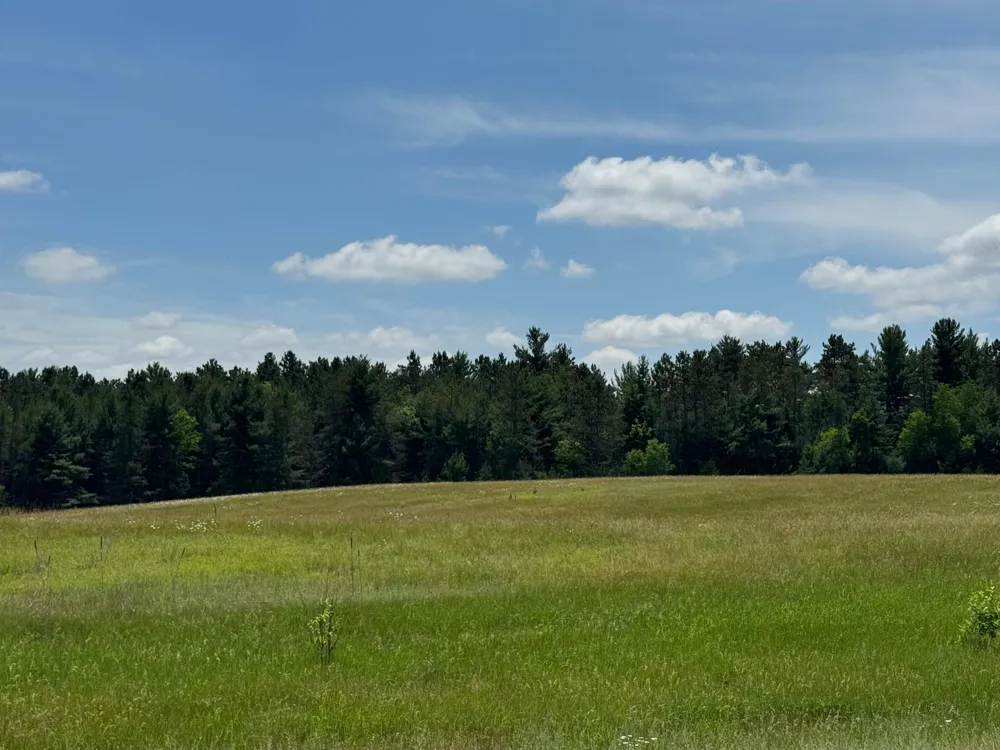 N 6398 Fred Tripp Road Springbrook, WI 54875