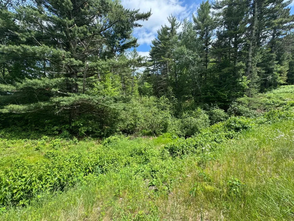 N 6398 Fred Tripp Road Springbrook, WI 54875