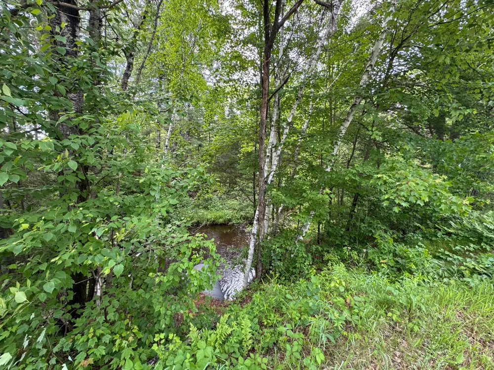 N 6398 Fred Tripp Road Springbrook, WI 54875