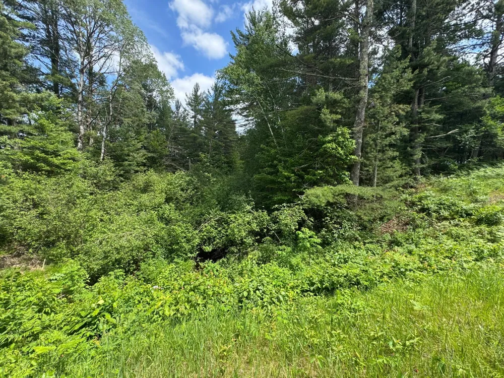 N 6398 Fred Tripp Road Springbrook, WI 54875