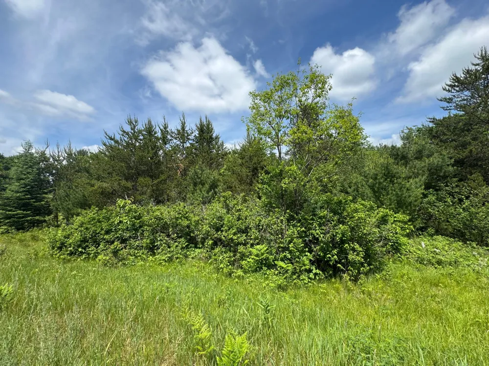 N 6398 Fred Tripp Road Springbrook, WI 54875