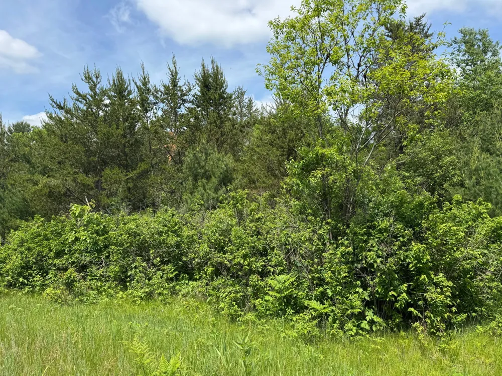 N 6398 Fred Tripp Road Springbrook, WI 54875