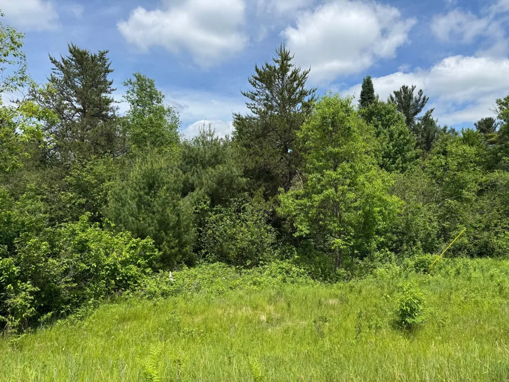 N 6398 Fred Tripp Road Springbrook, WI 54875