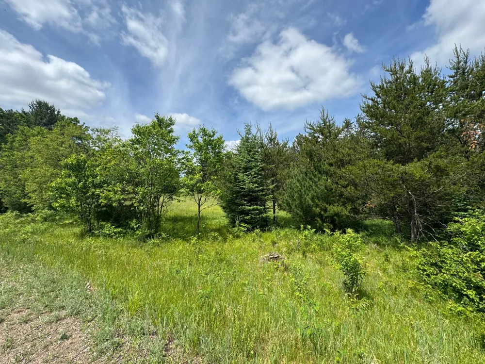 N 6398 Fred Tripp Road Springbrook, WI 54875