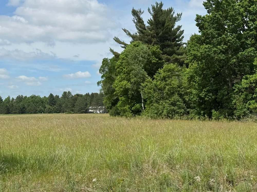 N 6398 Fred Tripp Road Springbrook, WI 54875