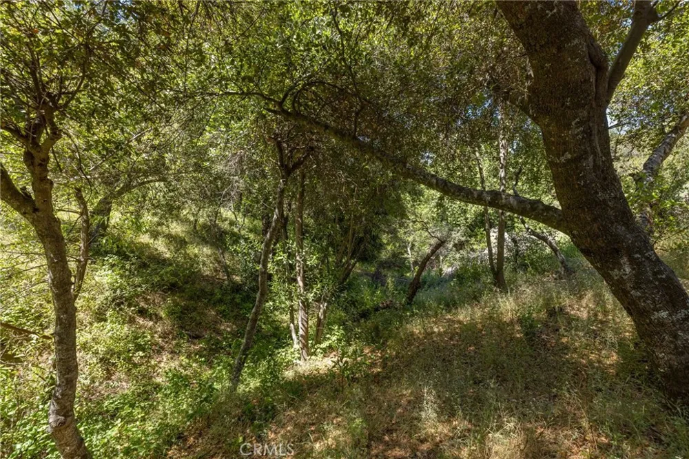 149 Old Yosemite Road Oakhurst, CA 93644