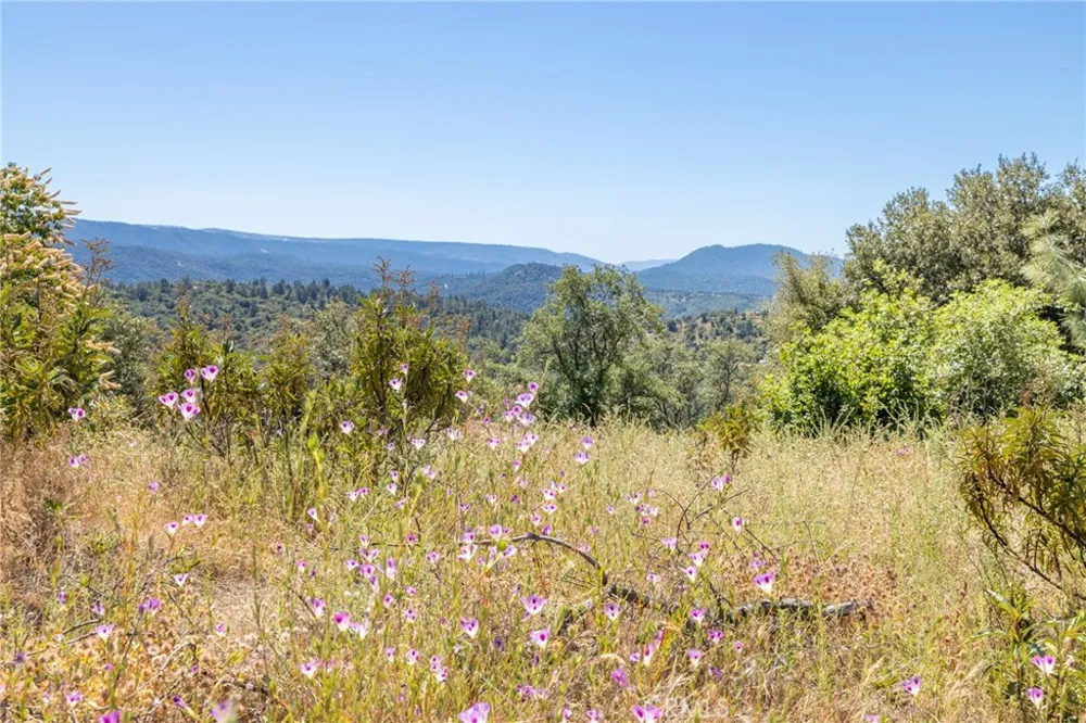149 Old Yosemite Road Oakhurst, CA 93644