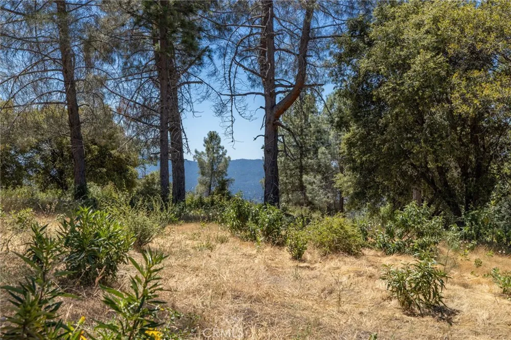 149 Old Yosemite Road Oakhurst, CA 93644