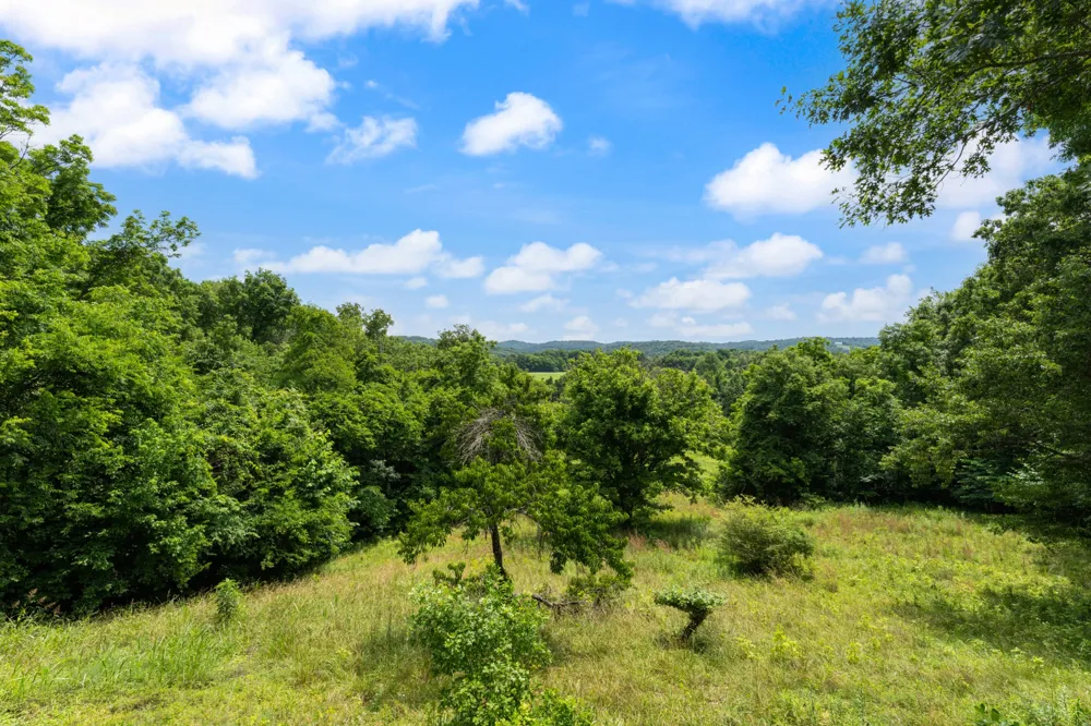 213 Delina Boonshill Rd Petersburg, TN 37144