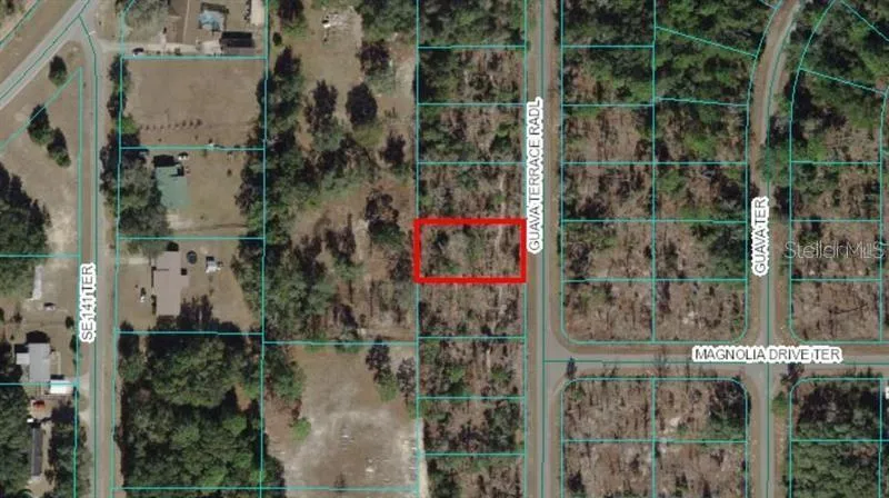 0 GUAVA TERRACE RADIAL Ocklawaha, FL 32179