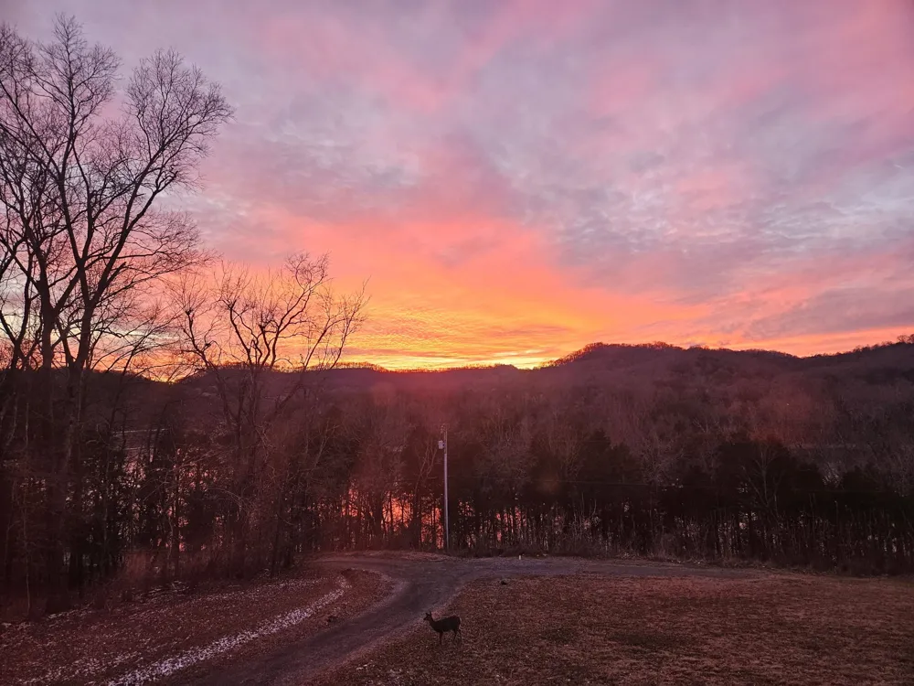 57 Lakeside Dr Carthage, TN 37030
