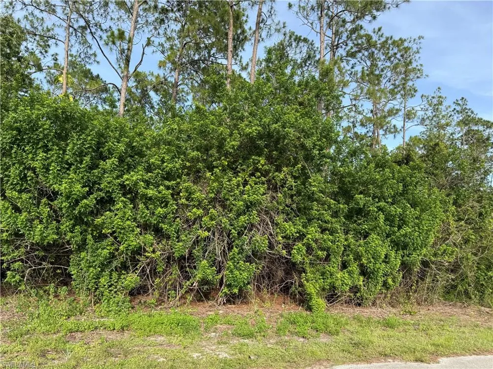 2202 Truman Avenue Alva, FL 33920