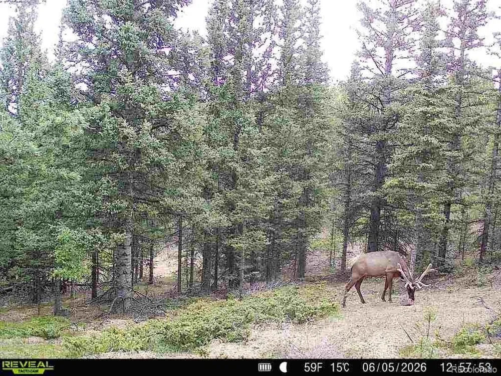 6601 Heckman Road San Luis, CO 81152